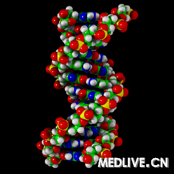 ֢ ϸ DNA 